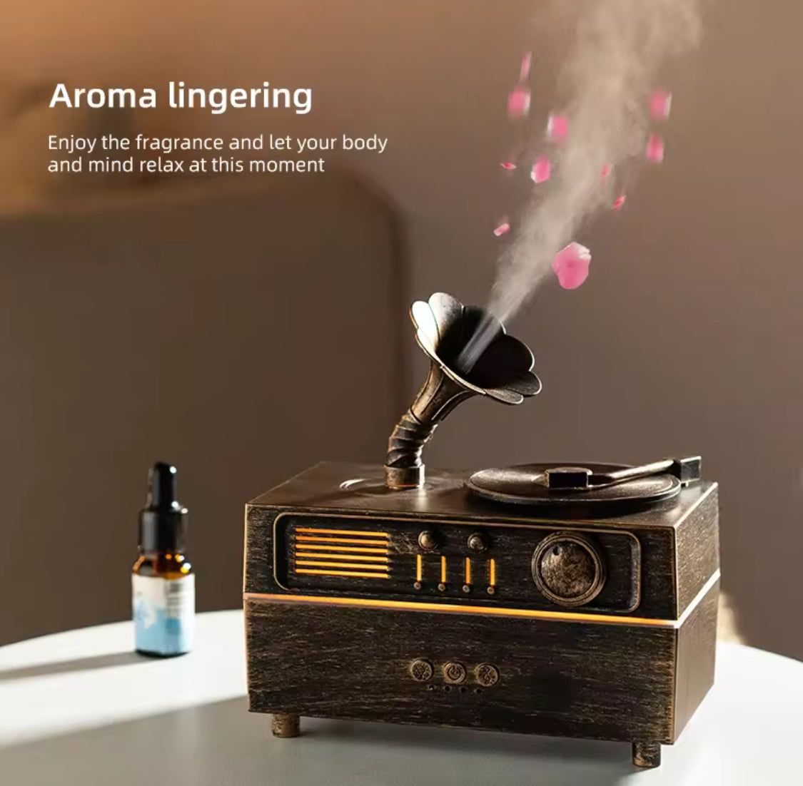 Vintage Gramophone Bluetooth Speaker With Humidifier, Retro Gramophone Air Humidifier, Aroma Humidifier, Home Office Air Purifier