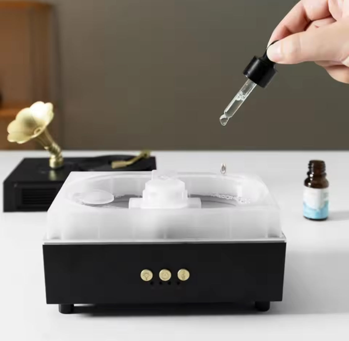 Vintage Gramophone Bluetooth Speaker With Humidifier, Retro Gramophone Air Humidifier, Aroma Humidifier, Home Office Air Purifier