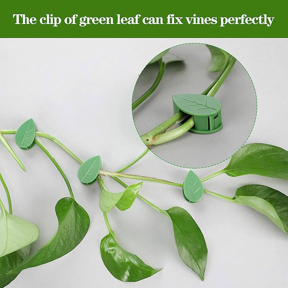 plant clips Plant Climbing Wall Clips, Set Of 10 Plant Fixing Hooks, Vine Buckle H –  eveen.pk