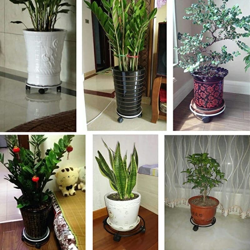 Plant Caddy Stand, Movable Flower Pot Tray, Stainless Steel Cylinder Trolley, Multipurpose Heavy Duty Stand with Wheels