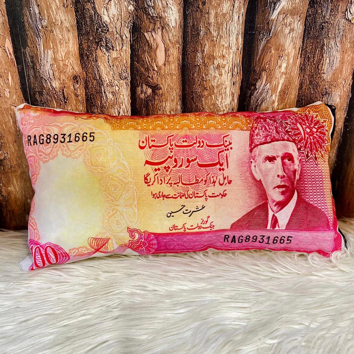 Currency Cushion, Home Decoration Cushions, Pakistani Currency Pillow, House Rupee Sofa Cushions