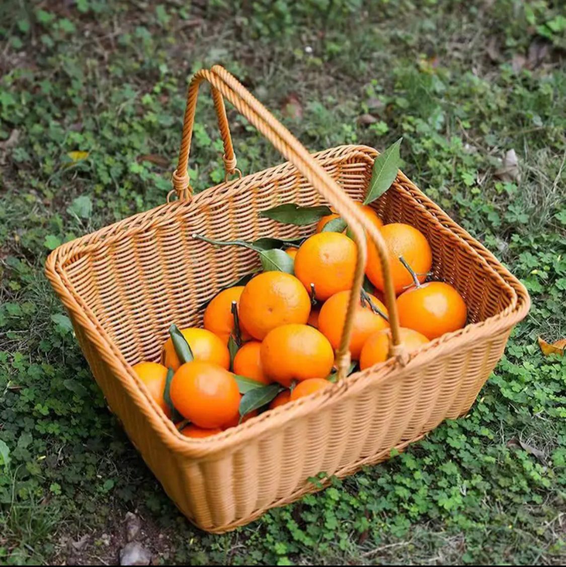 Woven Picnic Basket, Water Bread Service Box, Light Weight Imitation Storage Basket