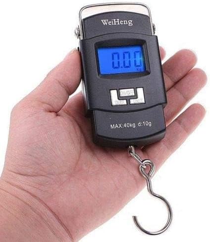 Pocket Digital Hanging Scale, Electronic Led Weighing Scale, Fish Weighing Scales, Precision Digital Scale, Multifunctional Luggage Hanging Hook Scales