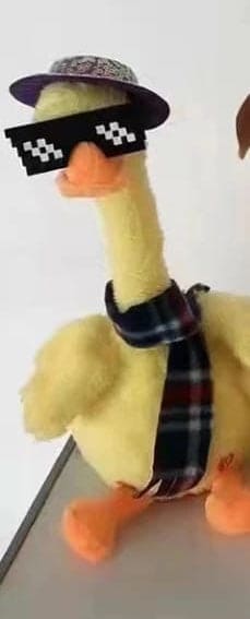 Lovely Talking Toy Dancing Duck, Electronic Dancing Ducks with Funny Clothes, Duck Plush Toy, Luminous Recording Learning to Speak Twisting Kid Toy, Speak Talk Sound Record Repeat Toy, Kids Education Toy