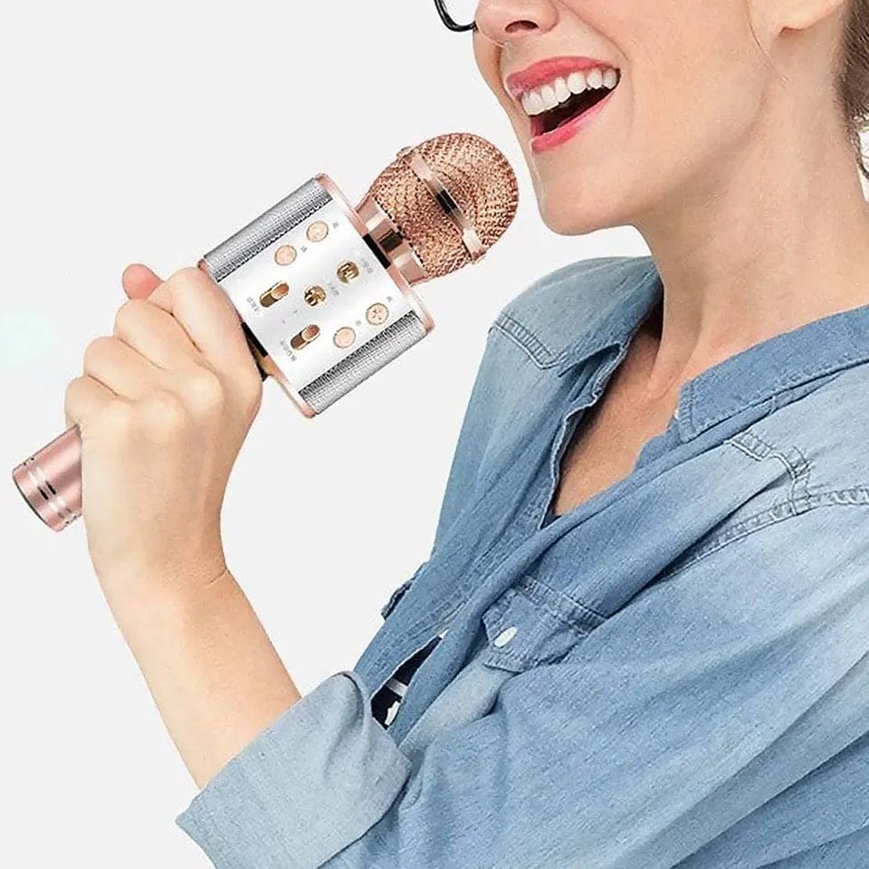 Handheld Microphone Speaker, Portable Handheld Singing Karaoke Mic Spe ...