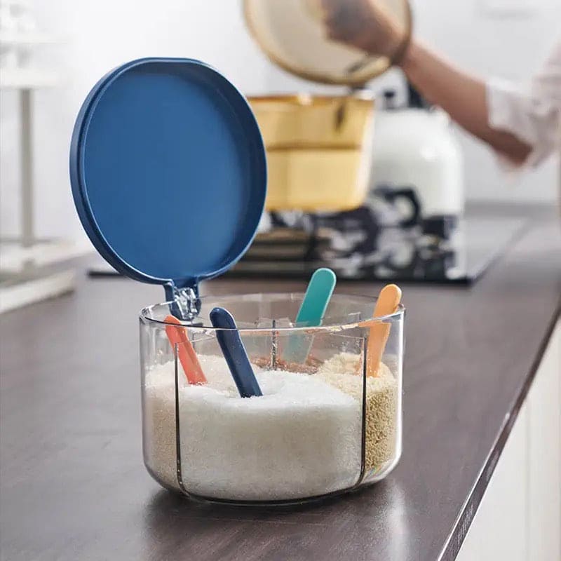 4 Grid Seasoning Organizer, Transparent Condiment Storage Box With Lid ...